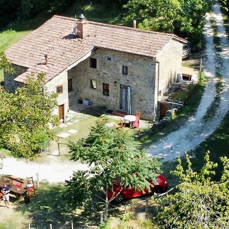 Mimmo'S Holiday House San Godenzo Bagian luar foto