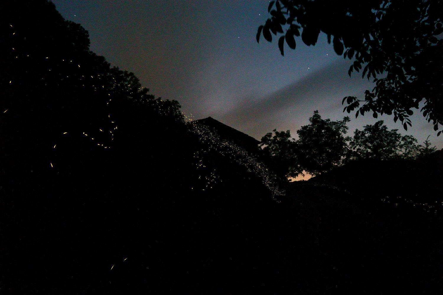 Mimmo'S Holiday House San Godenzo Bagian luar foto