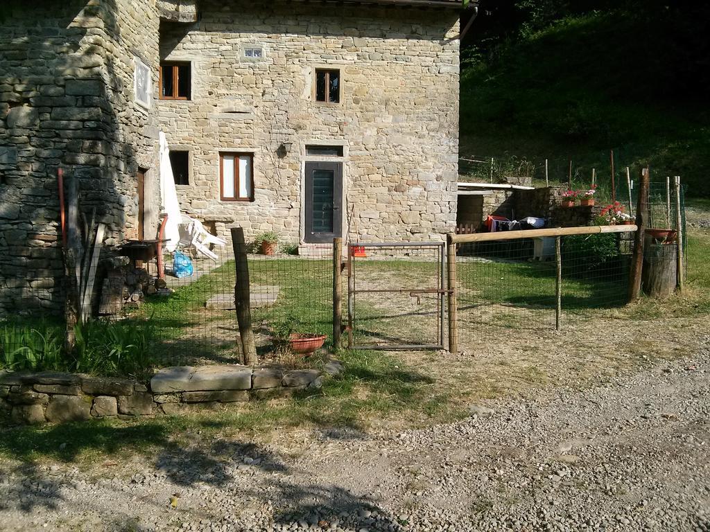 Mimmo'S Holiday House San Godenzo Bagian luar foto
