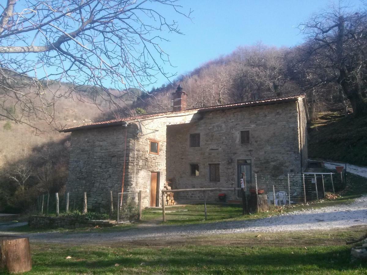 Mimmo'S Holiday House San Godenzo Bagian luar foto